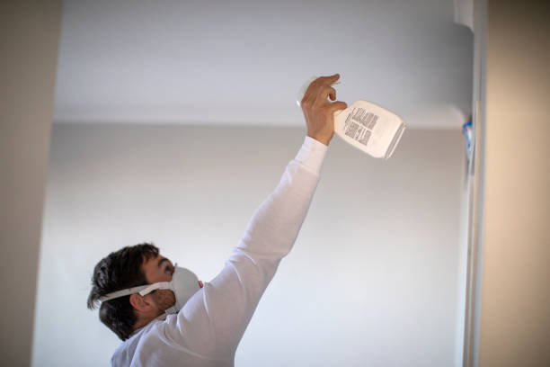 Best Commercial Mold Removal  in Carrizo Springs, TX