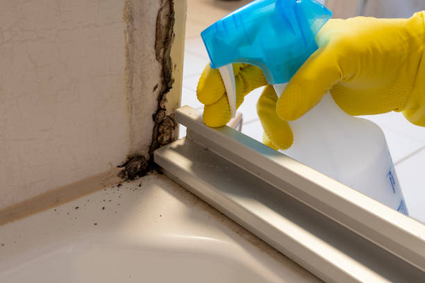 Best Mold Testing  in Carrizo Springs, TX