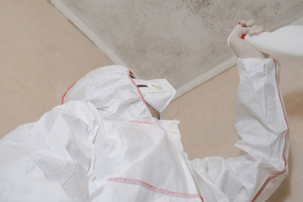 Best Home Mold Removal  in Carrizo Springs, TX