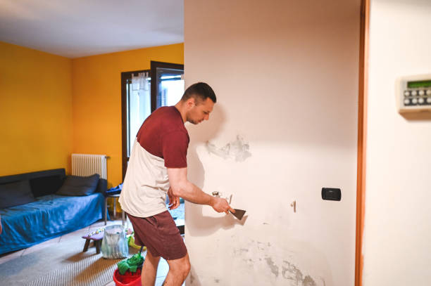 Best Affordable Mold Removal  in Carrizo Springs, TX
